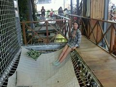 -Rainforest