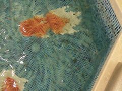 -东方之珠洗浴休闲广场(大港店)