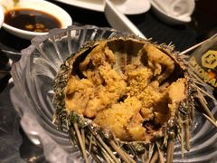 海胆-半岛翡丽海鲜自助餐厅(观风亭店)