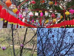 -两江国际影视城