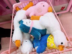 -+WAWA夹娃娃专门店·抓娃娃