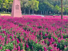 -顺峰山公园