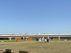 -光明小镇欢乐田园