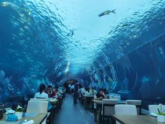 -海棠湾洲际-涛·海底餐厅·美人鱼·自助餐·海底隧道