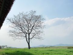 -良渚古城遗址公园