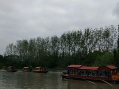 -溱湖国家湿地公园