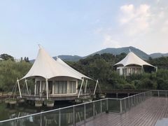 -帐篷客·溪龙茶谷度假酒店