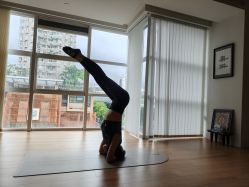 -阿南达·瑜伽普拉提·阿育吠陀疗愈中心