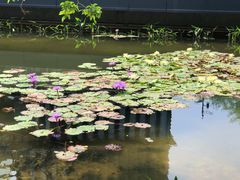 -星巴克(深圳前海企业公馆店)