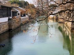 -青果巷历史文化街区