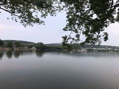 -东湖落雁景区
