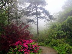 -南岳衡山风景名胜区