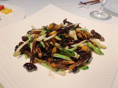 葱爆鸡枞菌-民国红公馆·秦淮八艳(夫子庙店)