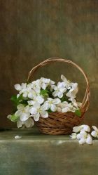 -晓V彩妆造型(大学路店)