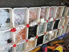 iphone_upload_pic-清平路水族市场