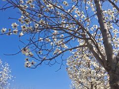 -山东大学(兴隆山校区)