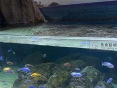 -江和美海洋公园
