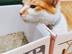 -南枝小馆(银鱼巷店)