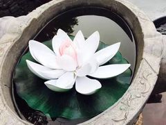 -芭东小镇温泉