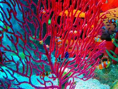 -沈阳海洋探索中心