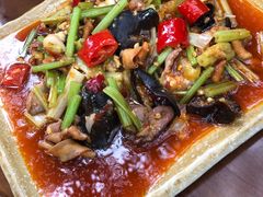 -青城甲(青城山店)