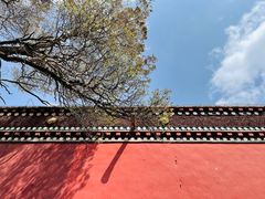 -塔尔寺