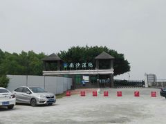 -大湾区中央湿地公园