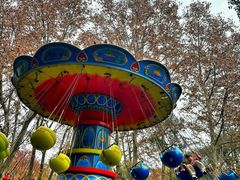 -上海共青森林公园