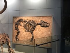 -浙江省科技馆