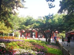 -宣武艺园