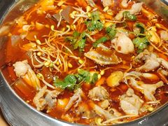 -十二点·辣椒炒肉(南山店)
