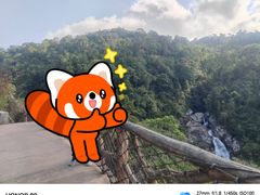 -海南热带雨林国家公园吊罗山景区