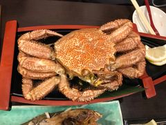 -札幌二条市场 大矶(本店)