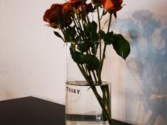 -TODAY(环城东路店)