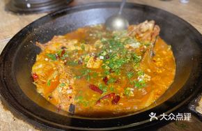 New Licheng Bighead Carp