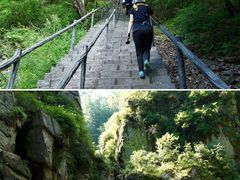 -茅兰沟国家森林公园