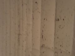 -曼谷一号酒店(深圳龙华大浪商业中心店)