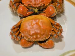 -王宝和酒家(黄浦店)