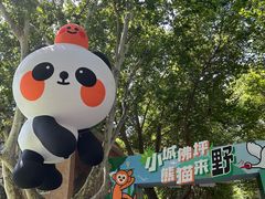 -西安电影制片厂