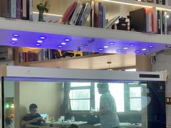 -喵园·猫主题咖啡厅·撸猫·猫咖(国贸店)