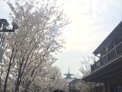 -品渔味湖鲜馆(拈花湾店)