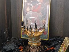 -雪灵魔法世界SHELLY’S TAROT(大良桂畔里店)
