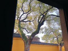 -西园戒幢律寺