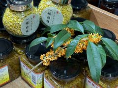 -苏州市吴中区光福窑上花果蜜饯厂