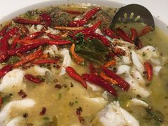 -姚姚酸菜鱼·金戈戈香港豉油鸡(喜荟城联名店)