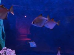 -沈阳海洋探索中心