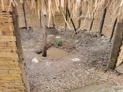 -河姆渡遗址博物馆