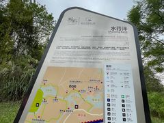 -桤木河湿地公园