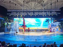 -三亚海昌梦幻海洋不夜城