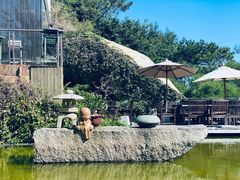 -厦门园林植物园-植物园滴水山房